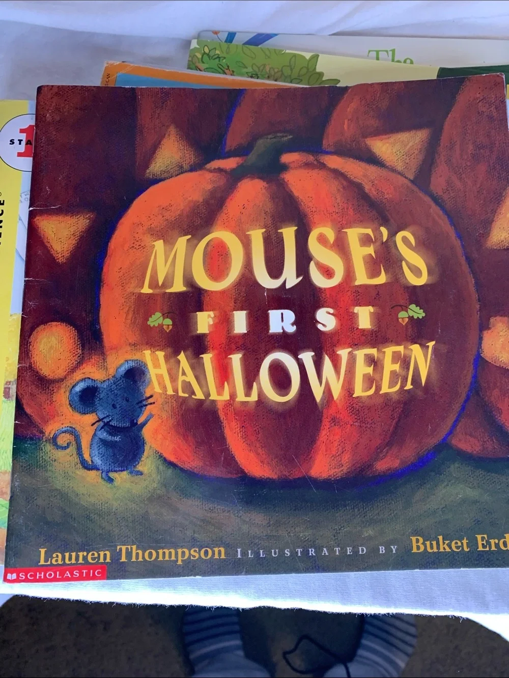 Scholastic Childrens book Bundle
